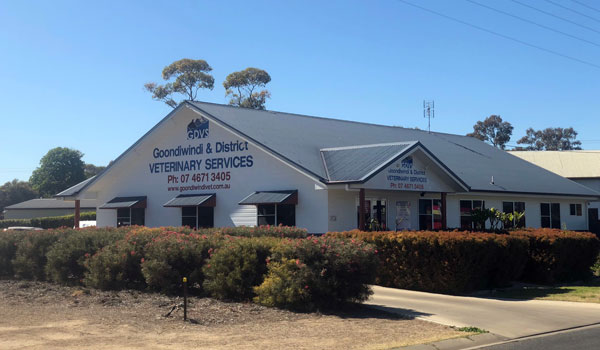 Goondiwindi Vets 1